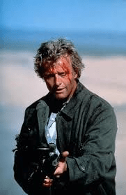 hauer