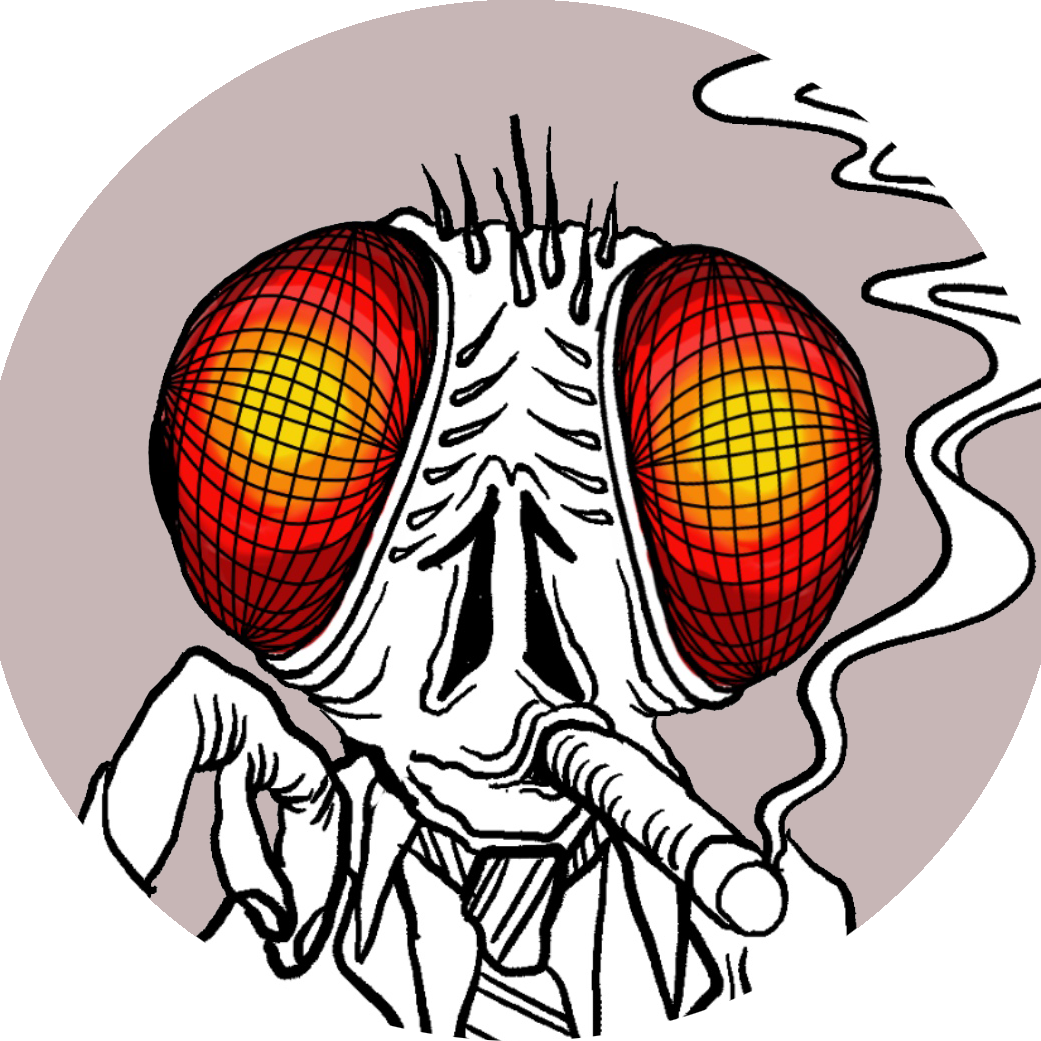 156002526_887066378501148_7950755047992677163_o