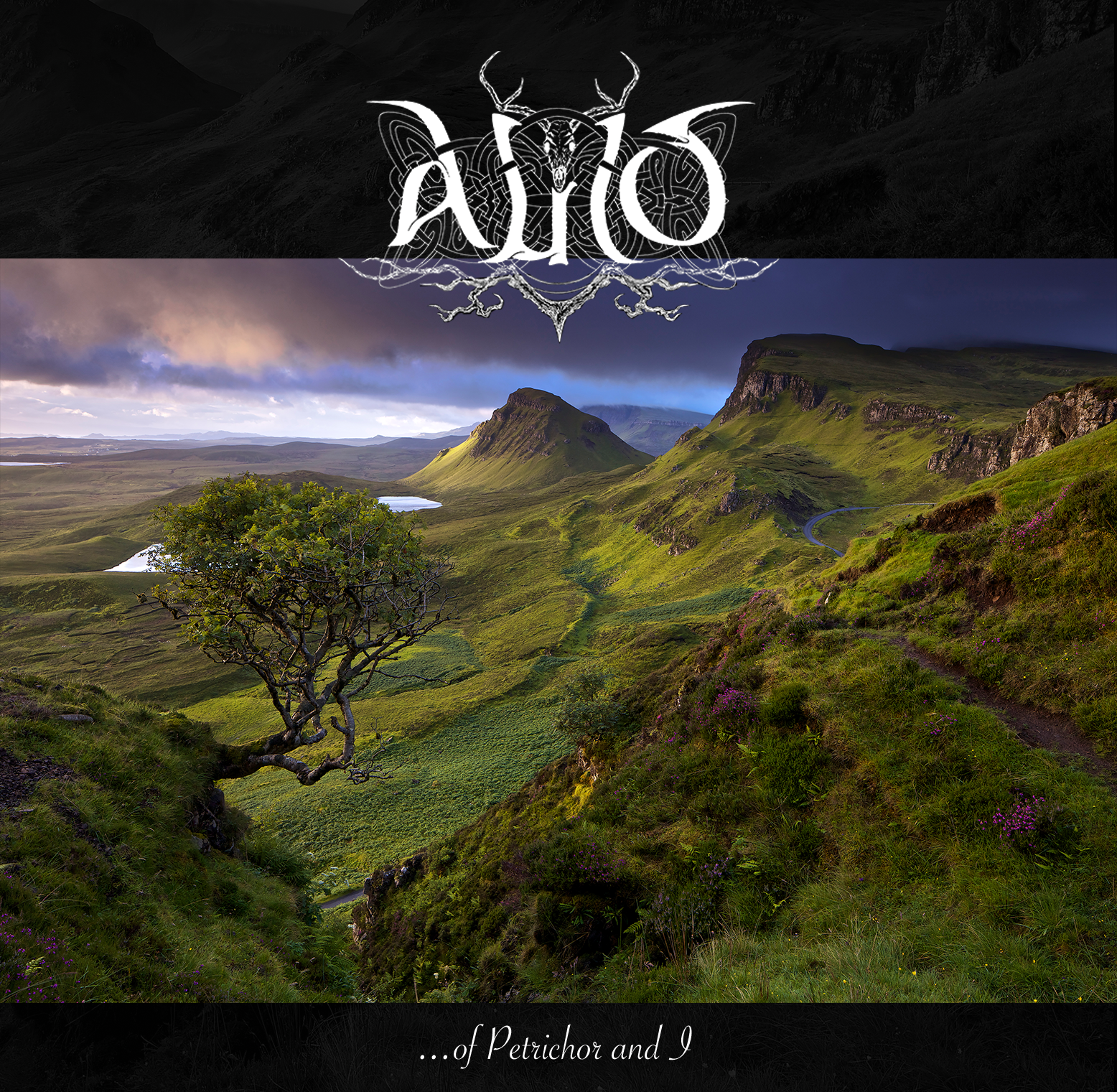 Auld Cover